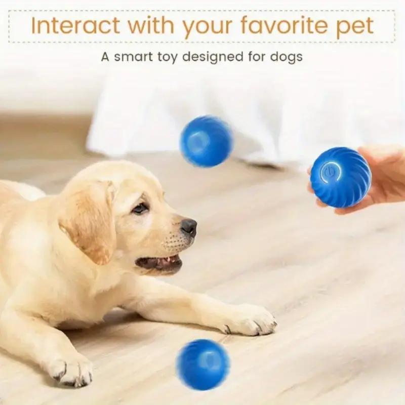 Bouncing Ball Toy for Dogs & Cats – Blue & Orange