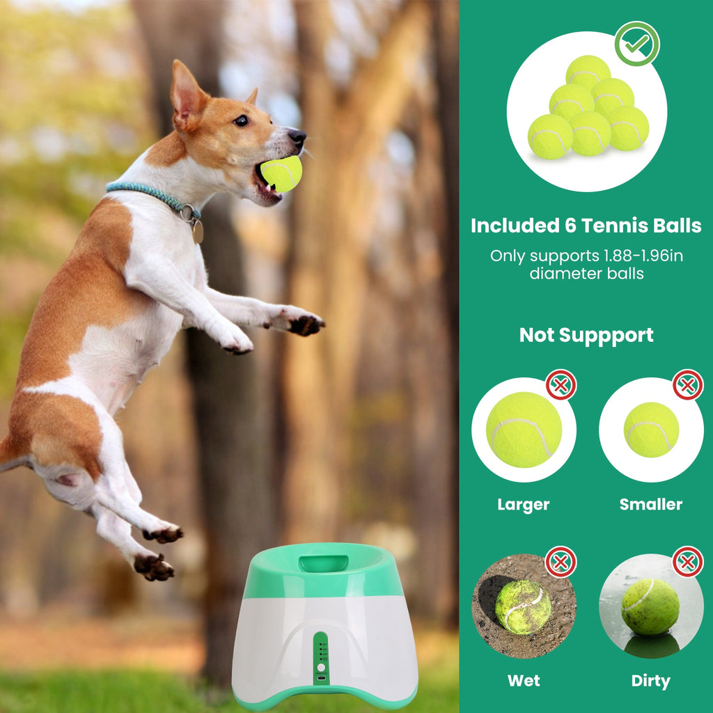 Automatic Dog Ball Launcher – 3 Distances, 6 Tennis Balls Included
