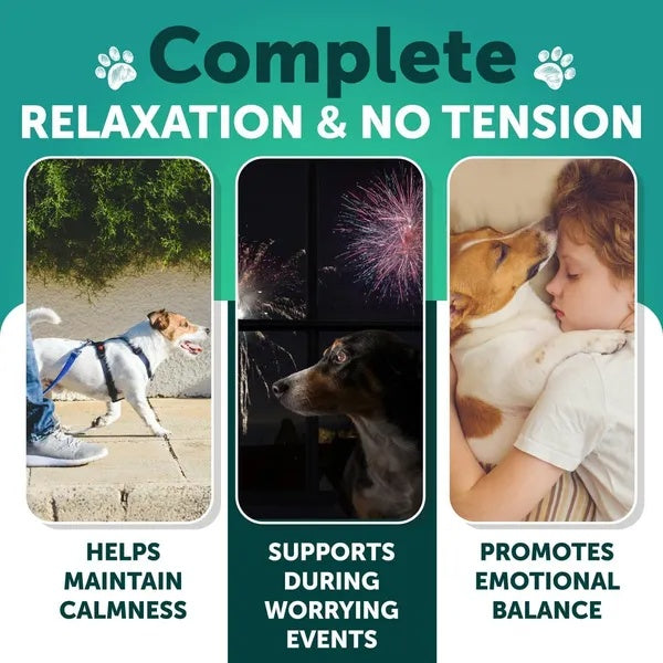 Hemp Calming Chews for Dogs – Anxiety Relief with Hemp Oil, Turmeric & Valerian (120 Treats)