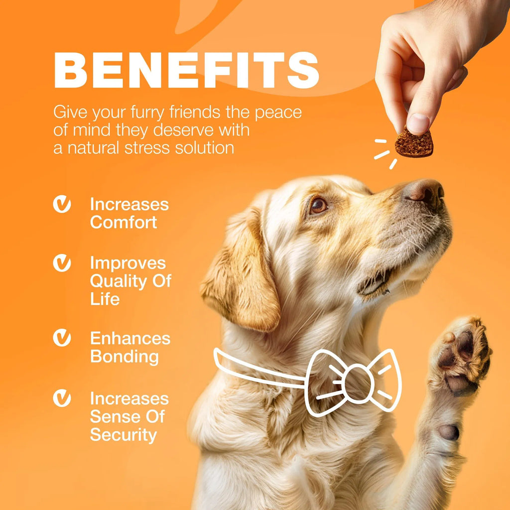 Dog Allergy Relief Chews – Itch, Skin & Immune Support