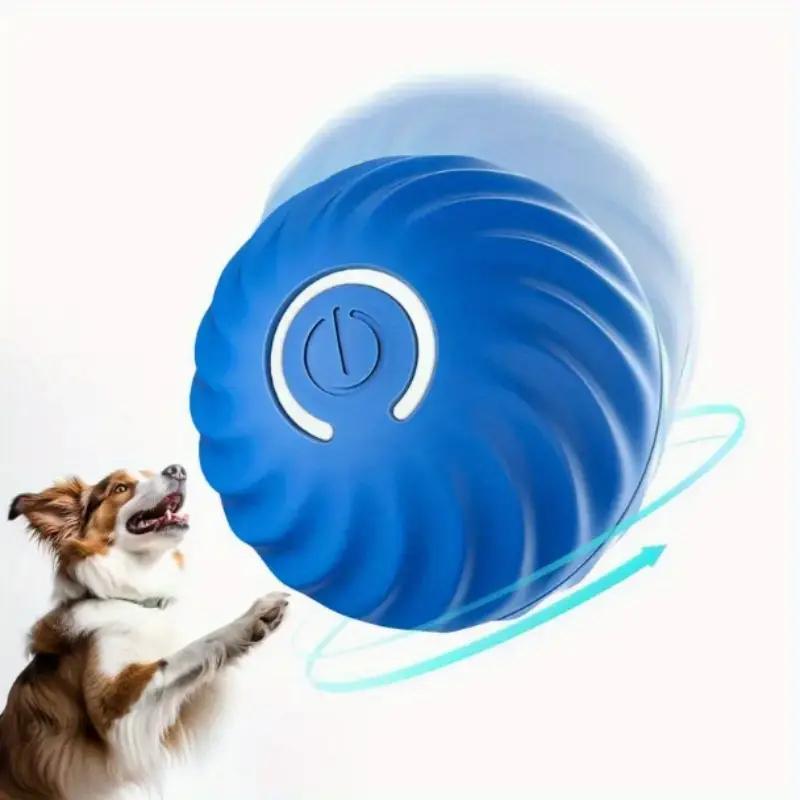 Bouncing Ball Toy for Dogs & Cats – Blue & Orange