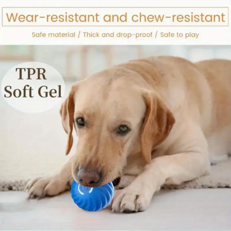 Bouncing Ball Toy for Dogs & Cats – Blue & Orange