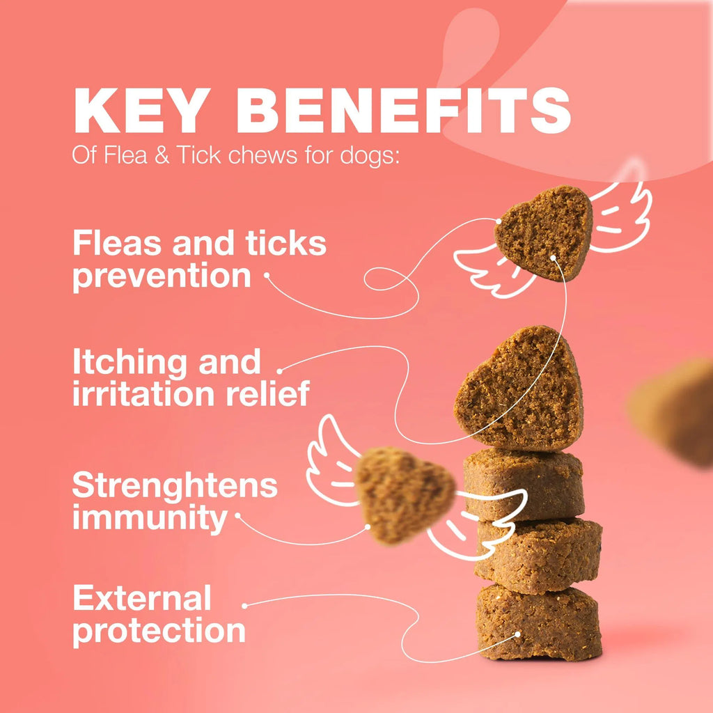 Flea & Tick Prevention Chews for Dogs – Natural Soft Treats