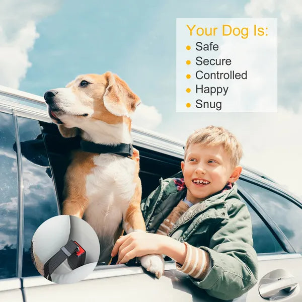 Dog Car Seat Belt 2-Pack – Adjustable Safety Leash for Dogs & Cats