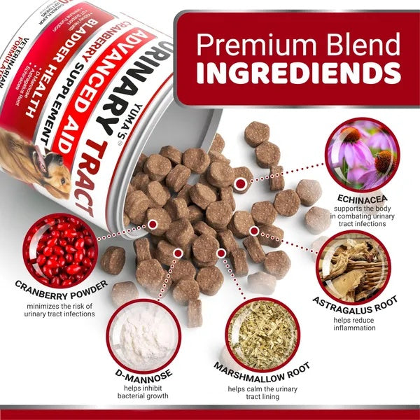 Cranberry UTI Support Chews for Dogs – 170 Count