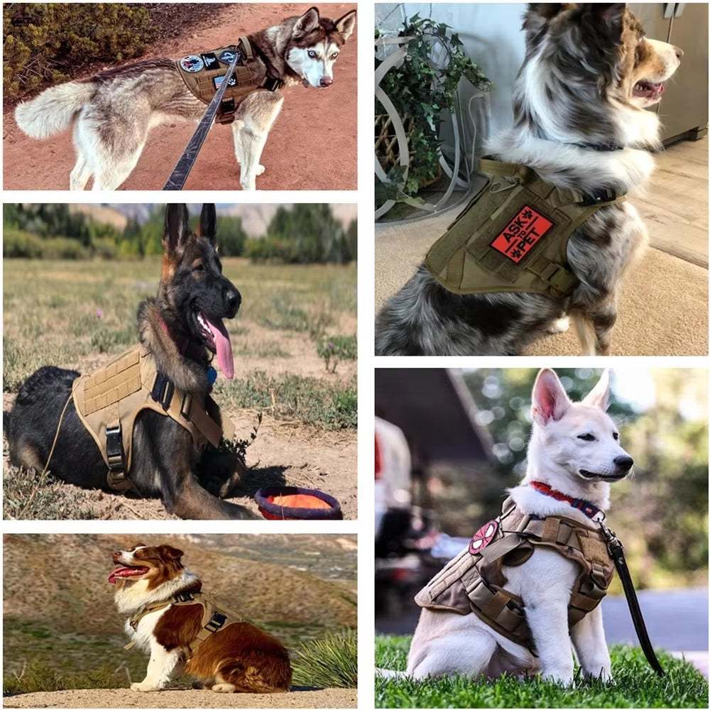 Tactical Dog Harness & Leash Set – No-Pull Nylon Vest
