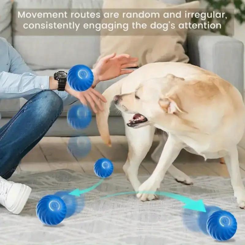 Bouncing Ball Toy for Dogs & Cats – Blue & Orange