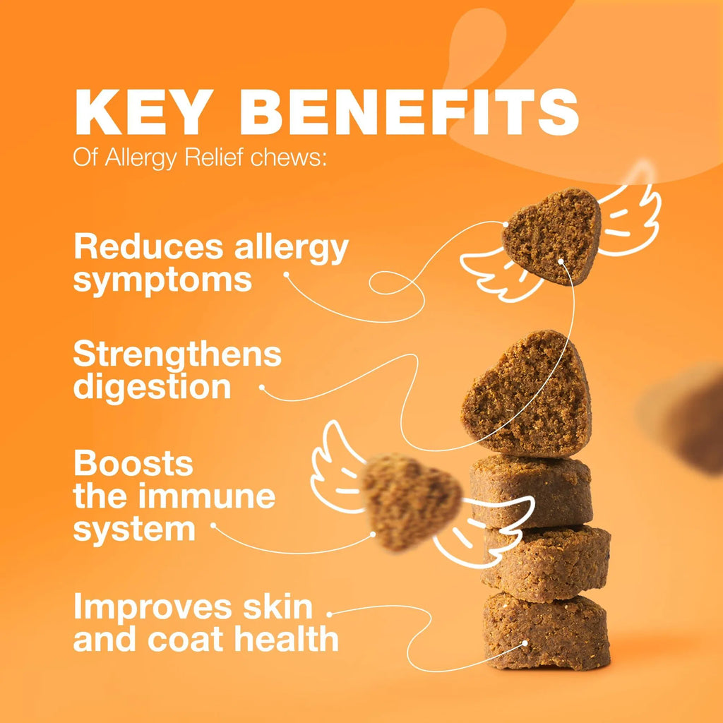Dog Allergy Relief Chews – Itch, Skin & Immune Support
