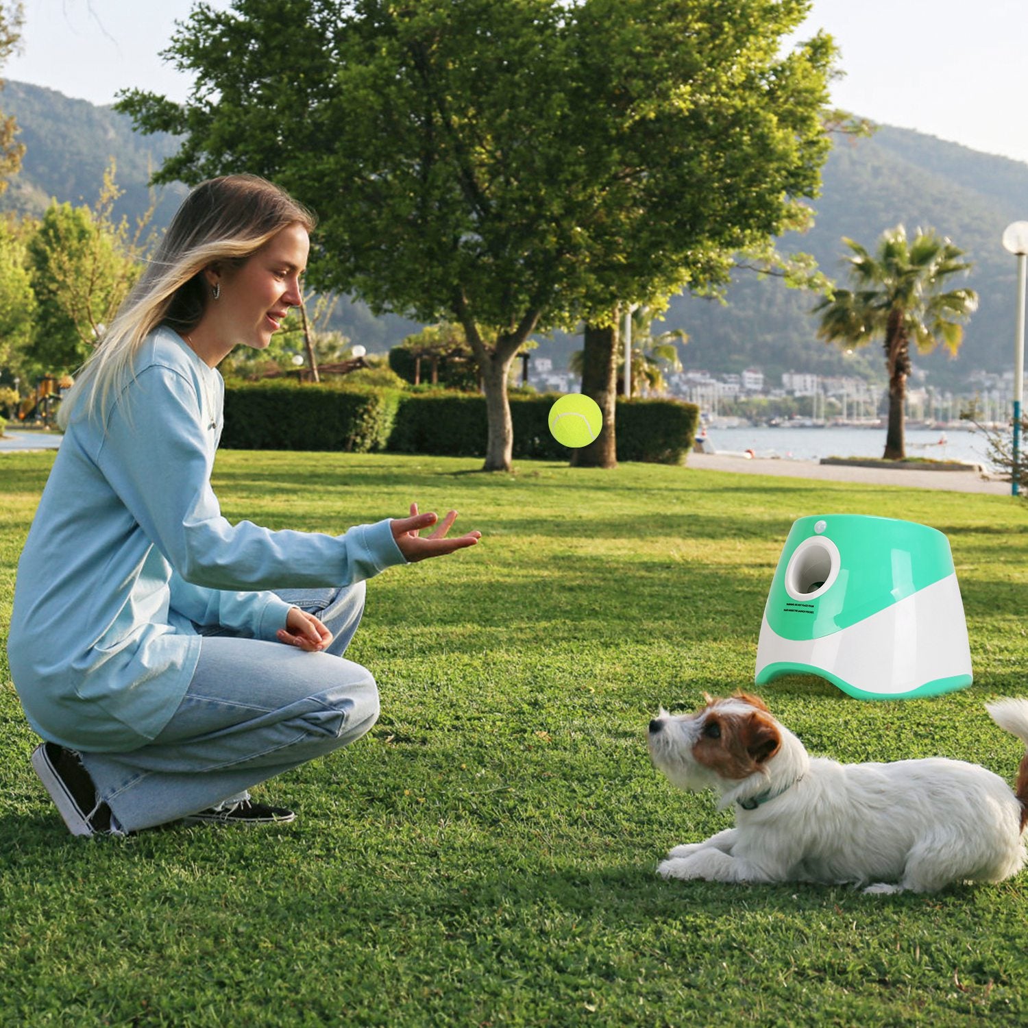 Automatic Dog Ball Launcher – 3 Distances, 6 Tennis Balls Included