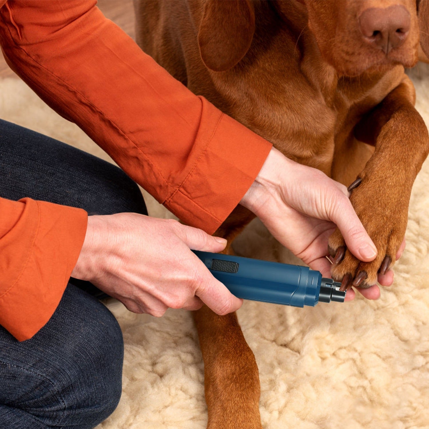 Quiet USB Rechargeable Pet Nail Grinder – 2-Speed for Dogs & Cats