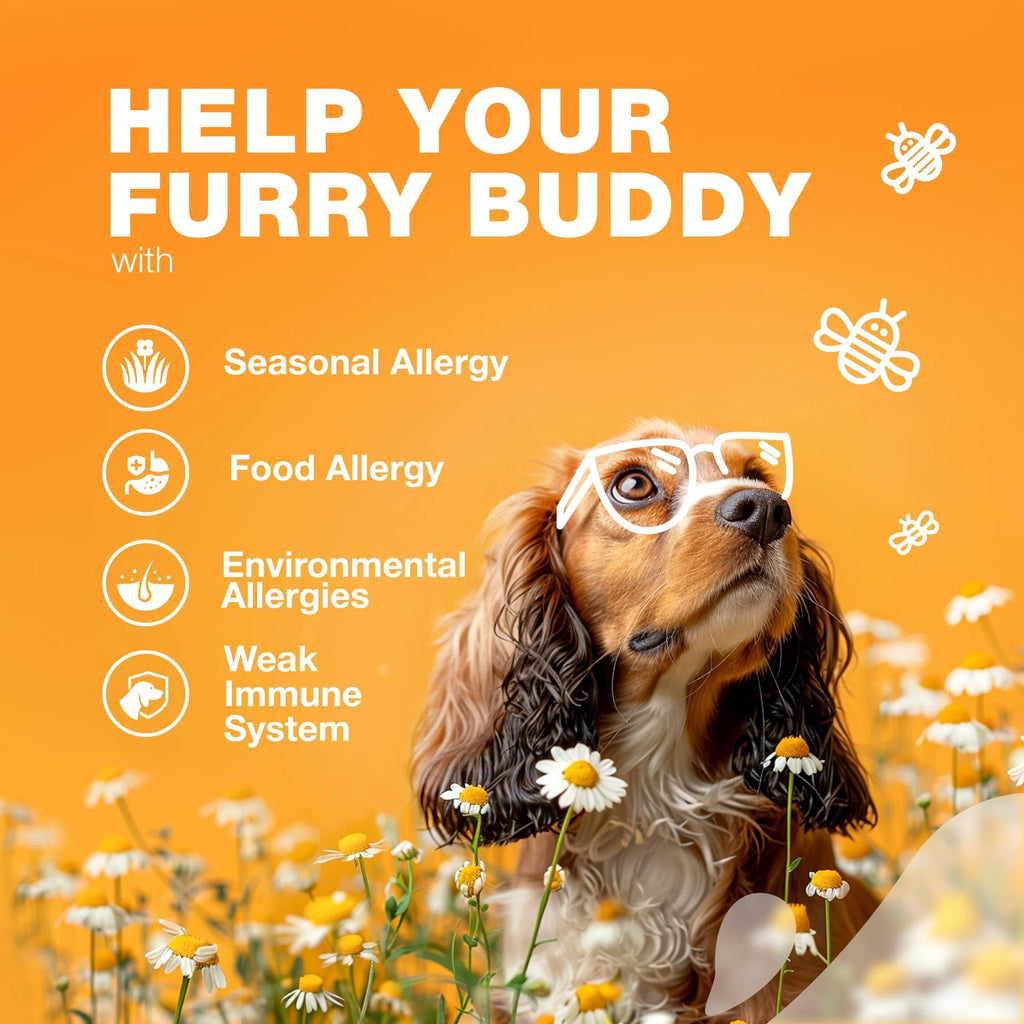 Dog Allergy Relief Chews – Itch, Skin & Immune Support
