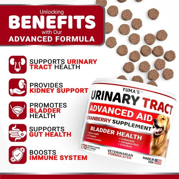 Cranberry UTI Support Chews for Dogs – 170 Count
