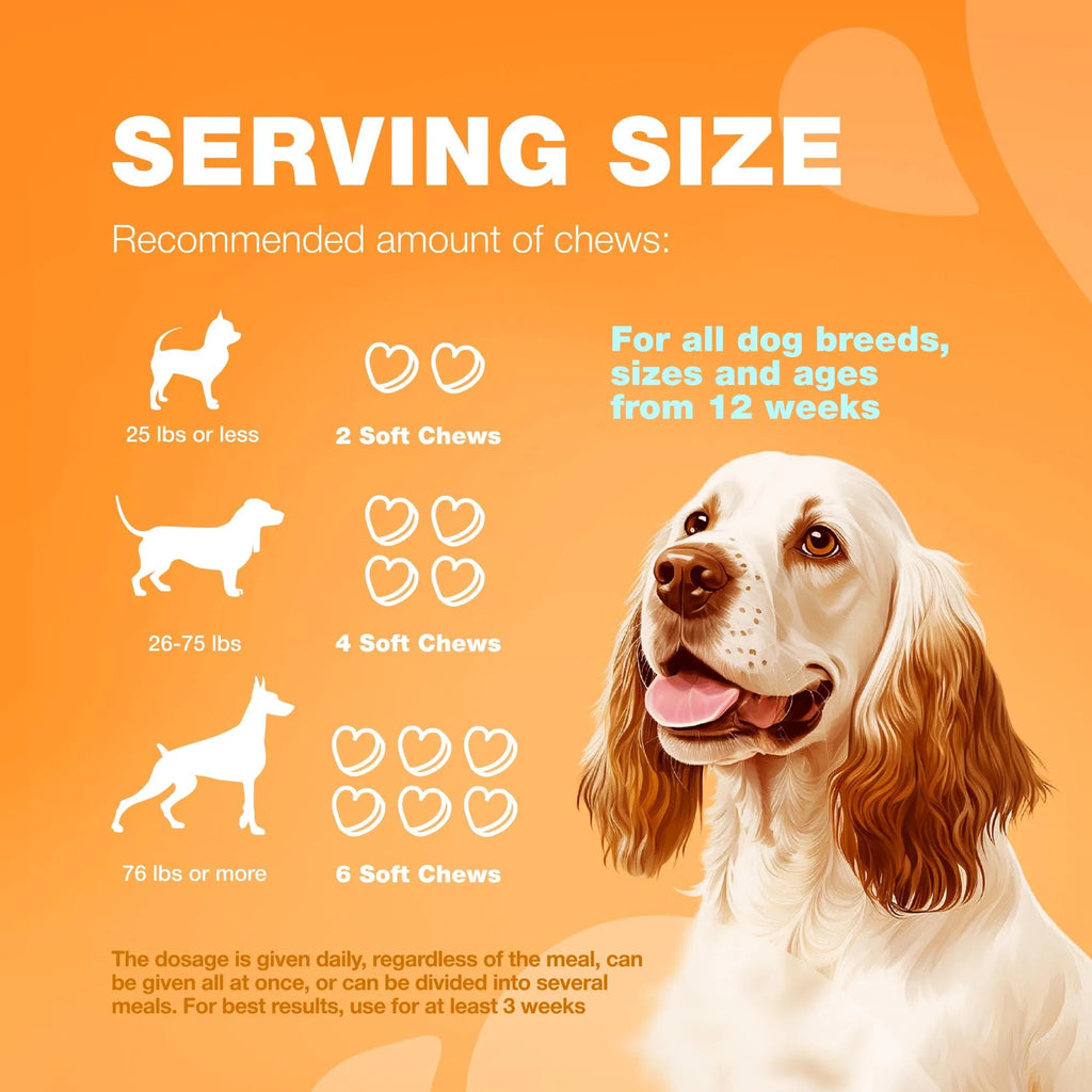 Dog Allergy Relief Chews – Itch, Skin & Immune Support