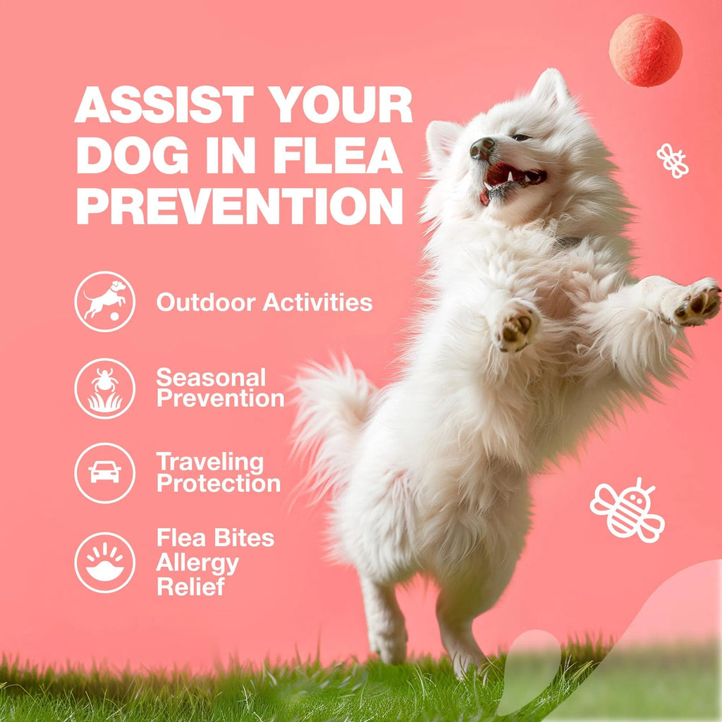 Flea & Tick Prevention Chews for Dogs – Natural Soft Treats