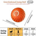 Bouncing Ball Toy for Dogs & Cats – Blue & Orange
