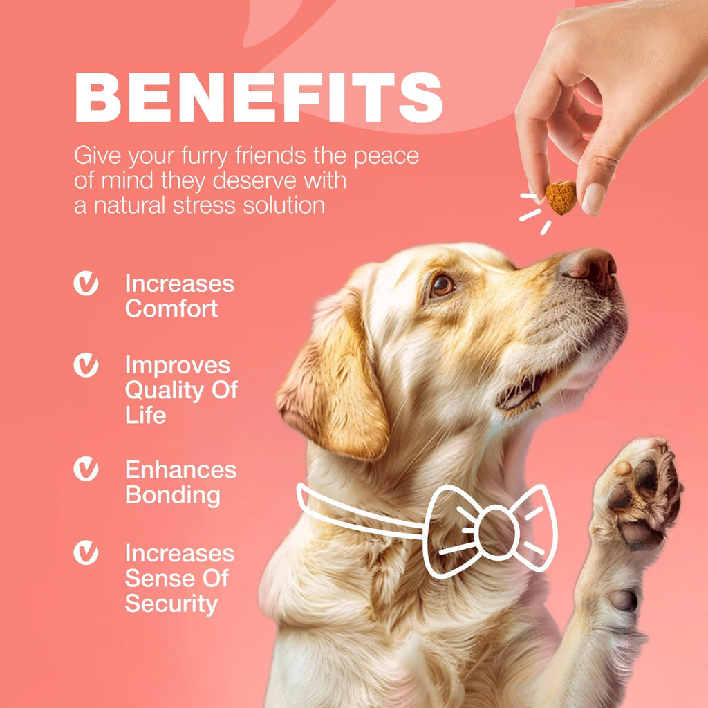 Flea & Tick Prevention Chews for Dogs – Natural Soft Treats
