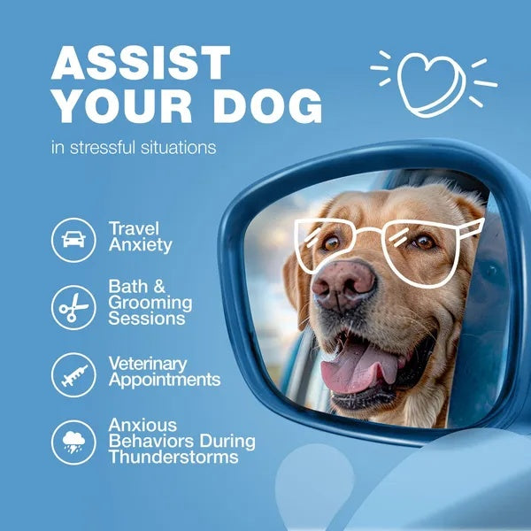 Hemp Calming Chews for Dogs – Anxiety & Stress Relief Treats