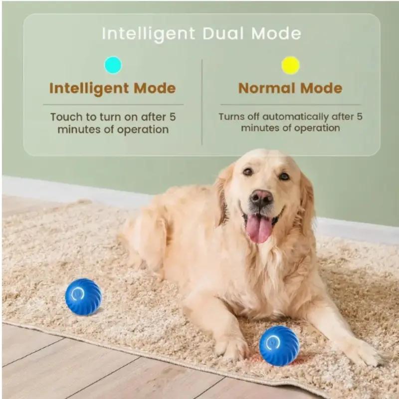 Bouncing Ball Toy for Dogs & Cats – Blue & Orange