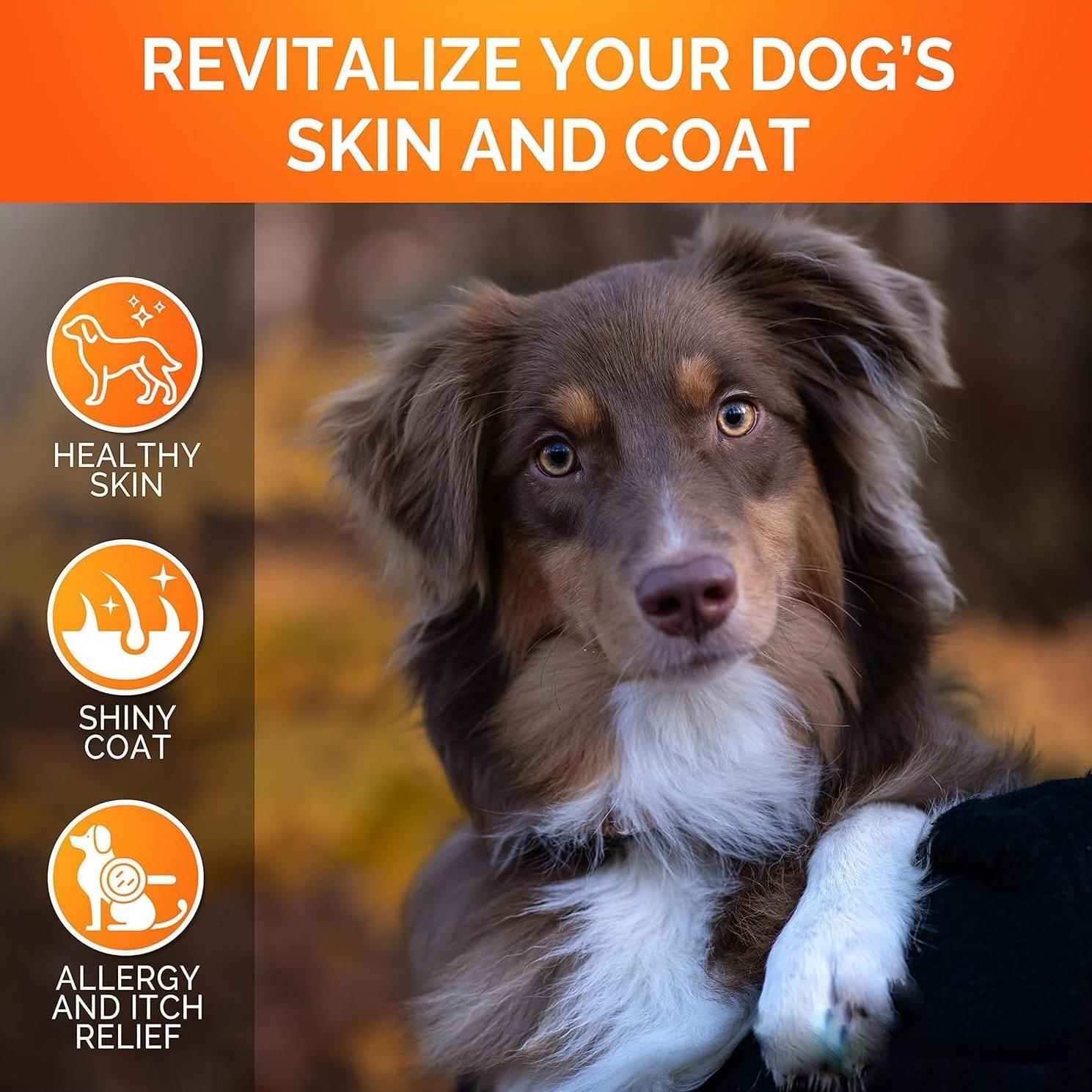 Omega-3 Salmon Oil Chews for Dogs – Skin, Coat & Joint Support