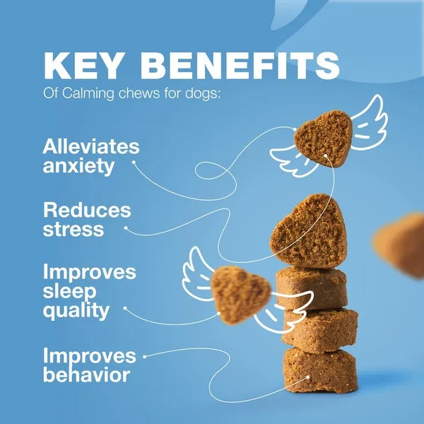 Hemp Calming Chews for Dogs – Anxiety & Stress Relief Treats