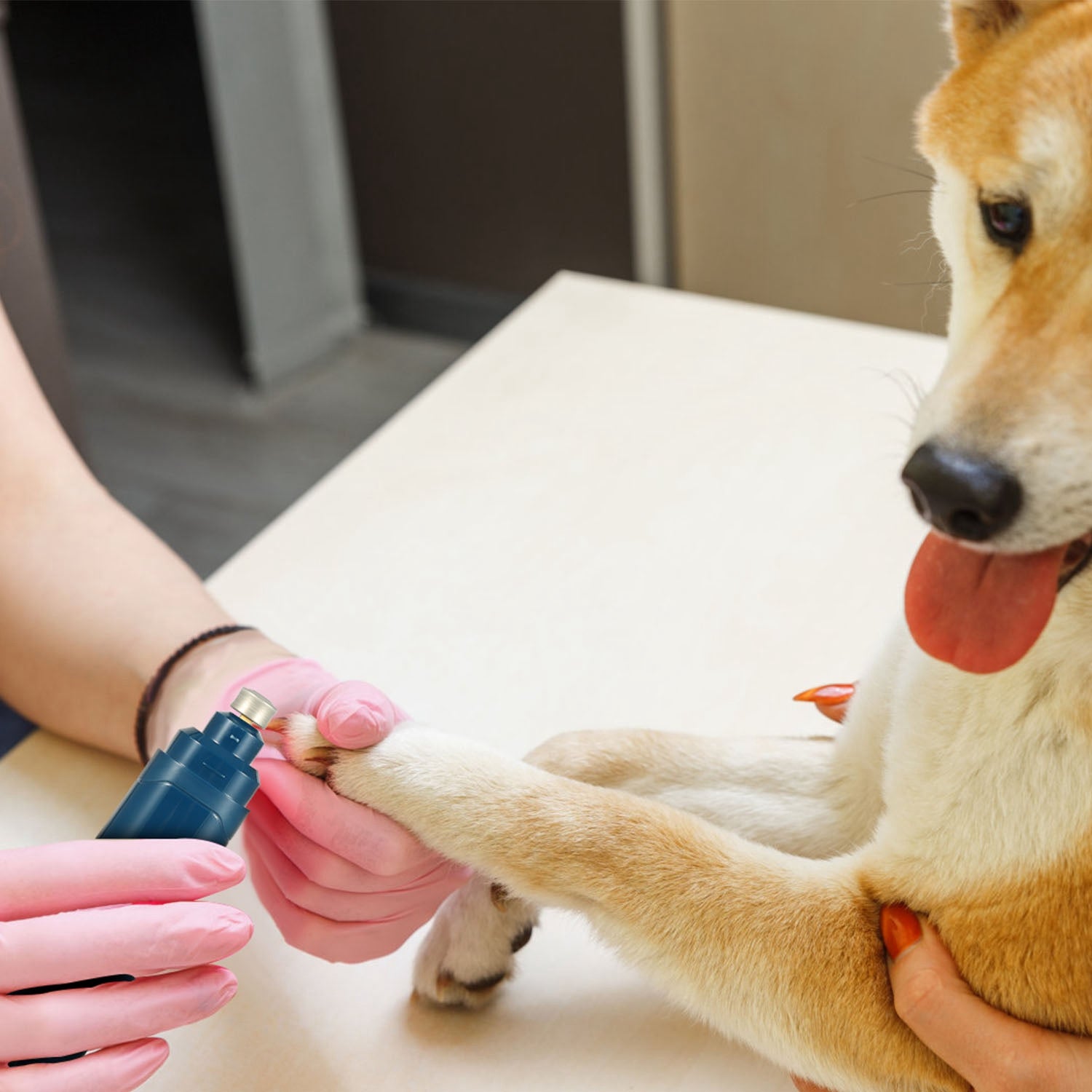 Quiet USB Rechargeable Pet Nail Grinder – 2-Speed for Dogs & Cats